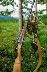 �������� ��������� � �� ���� ����� 16 �